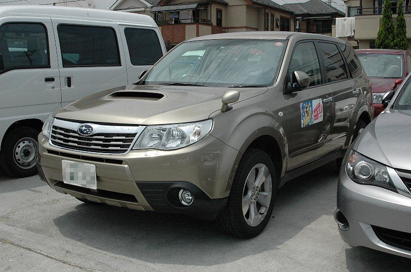 FORESTER