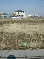 東京で北欧住宅(スウェーデンハウス)に暮らすの画像 モデルハウス再訪3